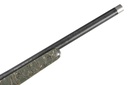 67986_9.jpg