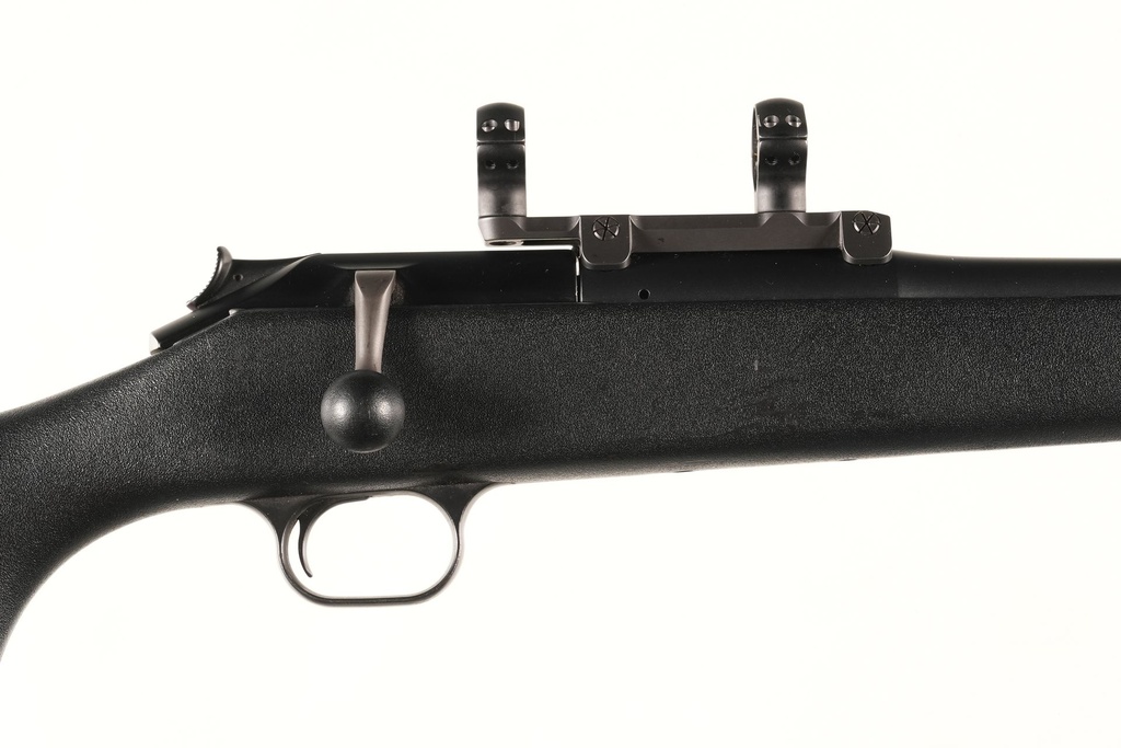 61738 Blaser R93 Professional Bolt Rifle .243 WIN